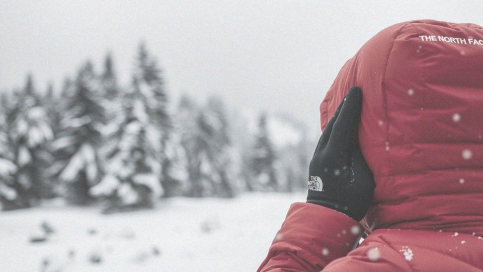 Jak kurtki damskie The North Face zapewniają komfort w niskich temperaturach?