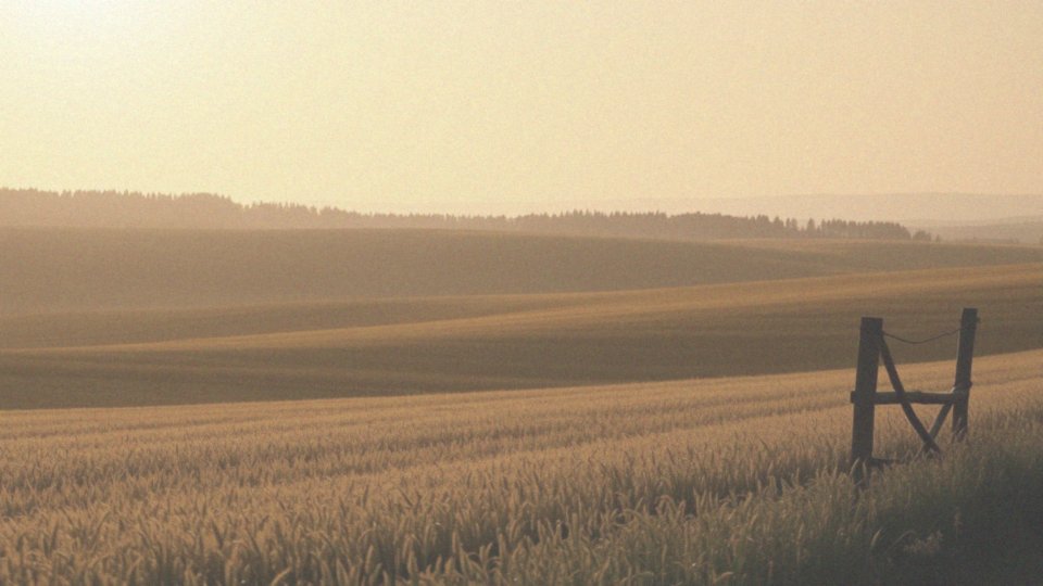 Jakie zjawiska astronomiczne są związane z długością dnia?
