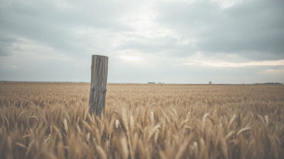 Jak długość dnia w danym roku porównuje się do lat ubiegłych?