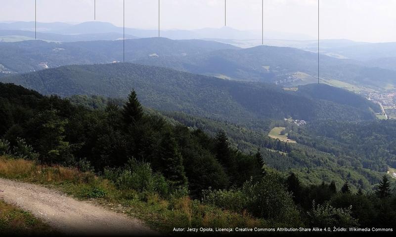 Holica (Beskid Sądecki)