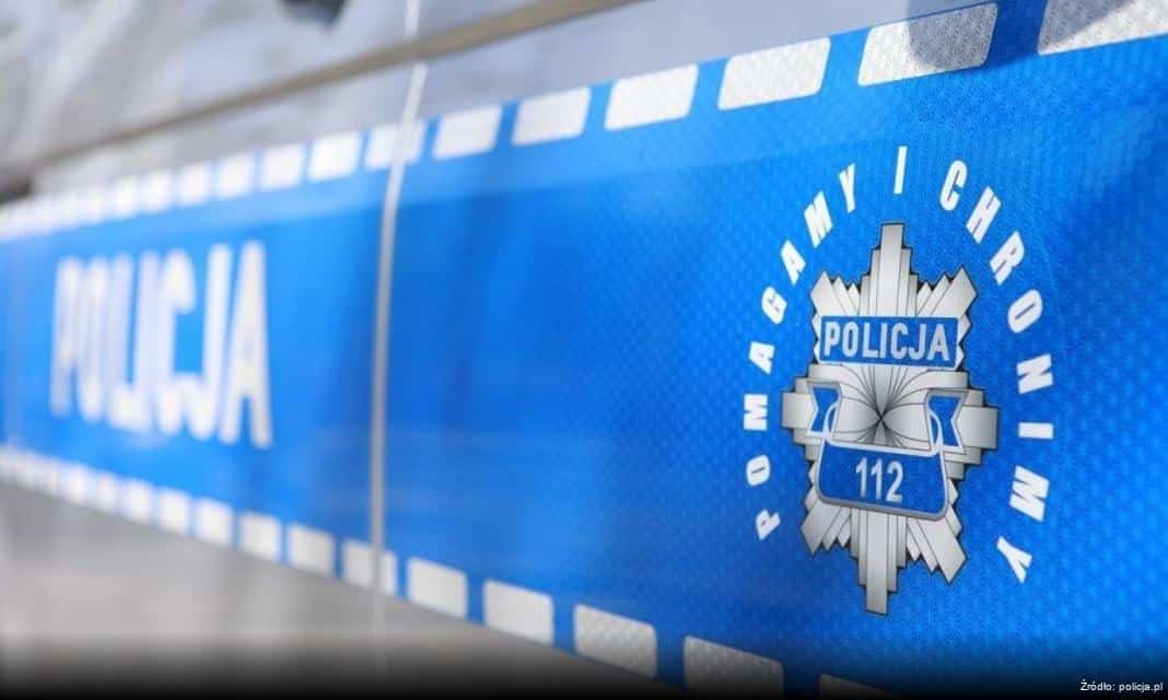 Wspólna akcja policji i straży leśnej w Krynicy-Zdroju przeciwko nielegalnemu pozyskiwaniu stroiszu