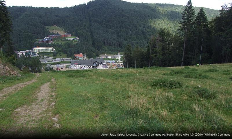 Krzyżowa (Beskid Sądecki)