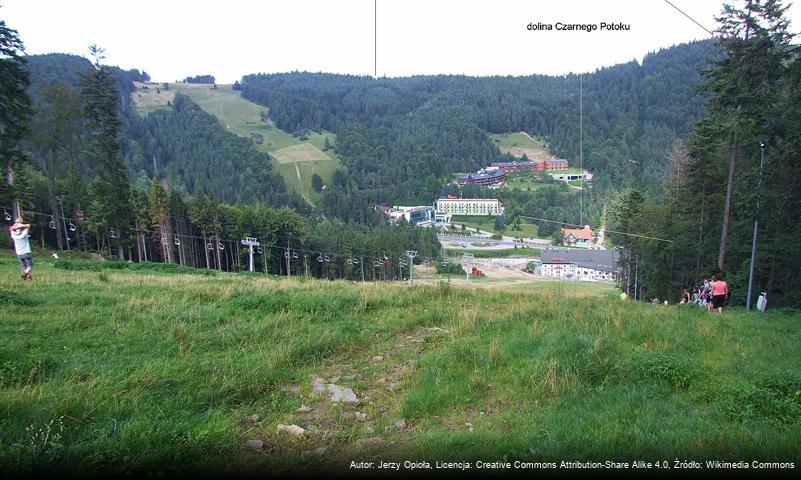 Przełęcz Krzyżowa (Beskid Sądecki)