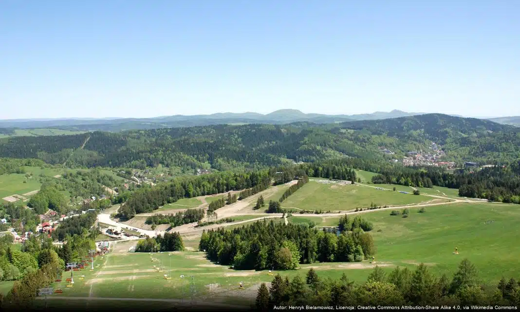 V Edycja Małopolskich Dni dla Klimatu: Odbierz Drzewko i Działaj na Rzecz Środowiska